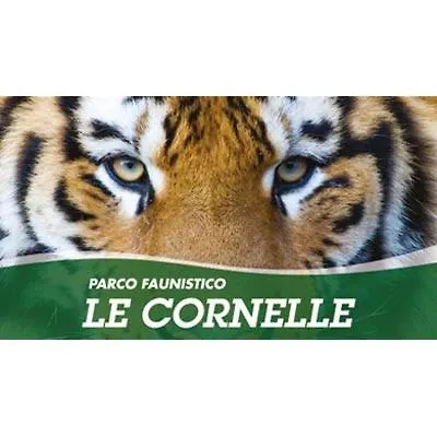 Su Da Noi * Carvico