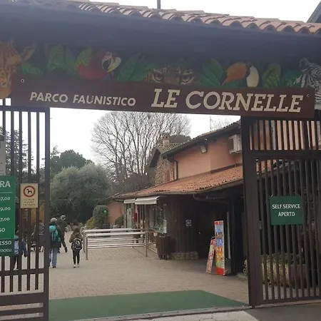 Su Da Noi Carvico
